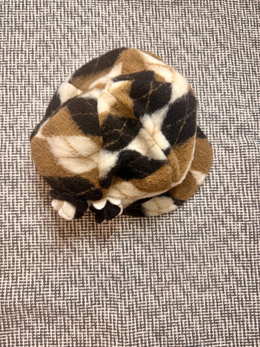 Lafenice multicoloured wool beret